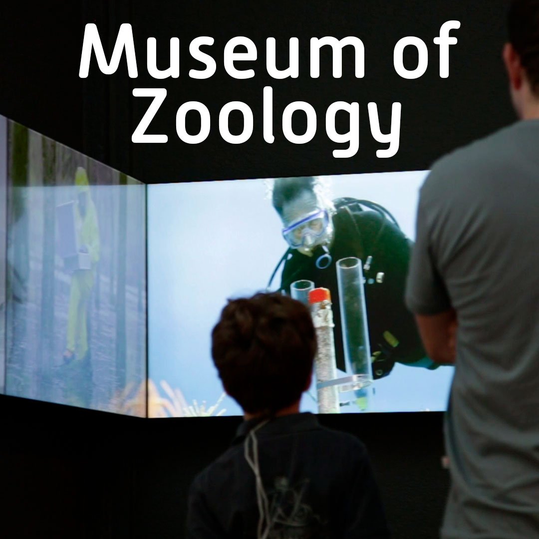 destaque_zoo-en