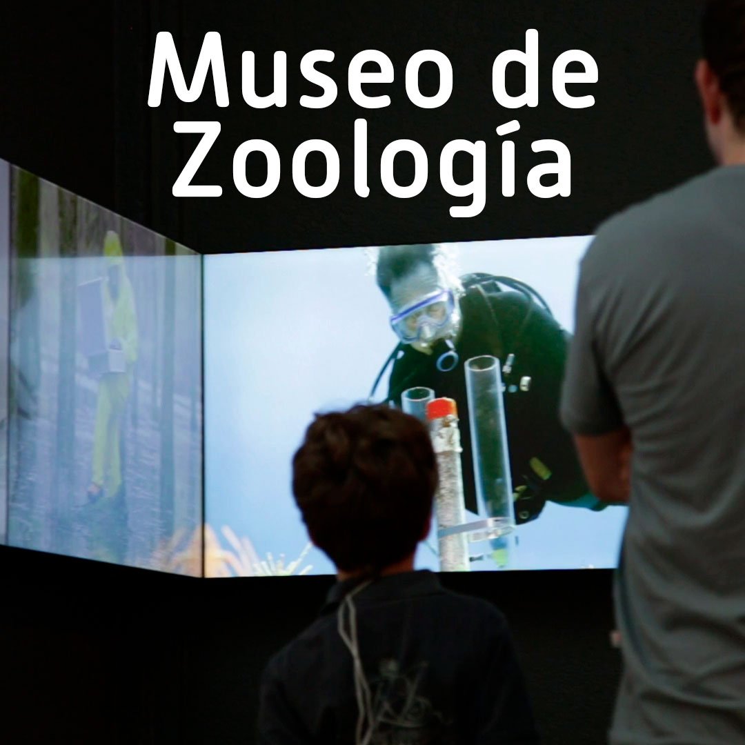 destaque_zoo-es