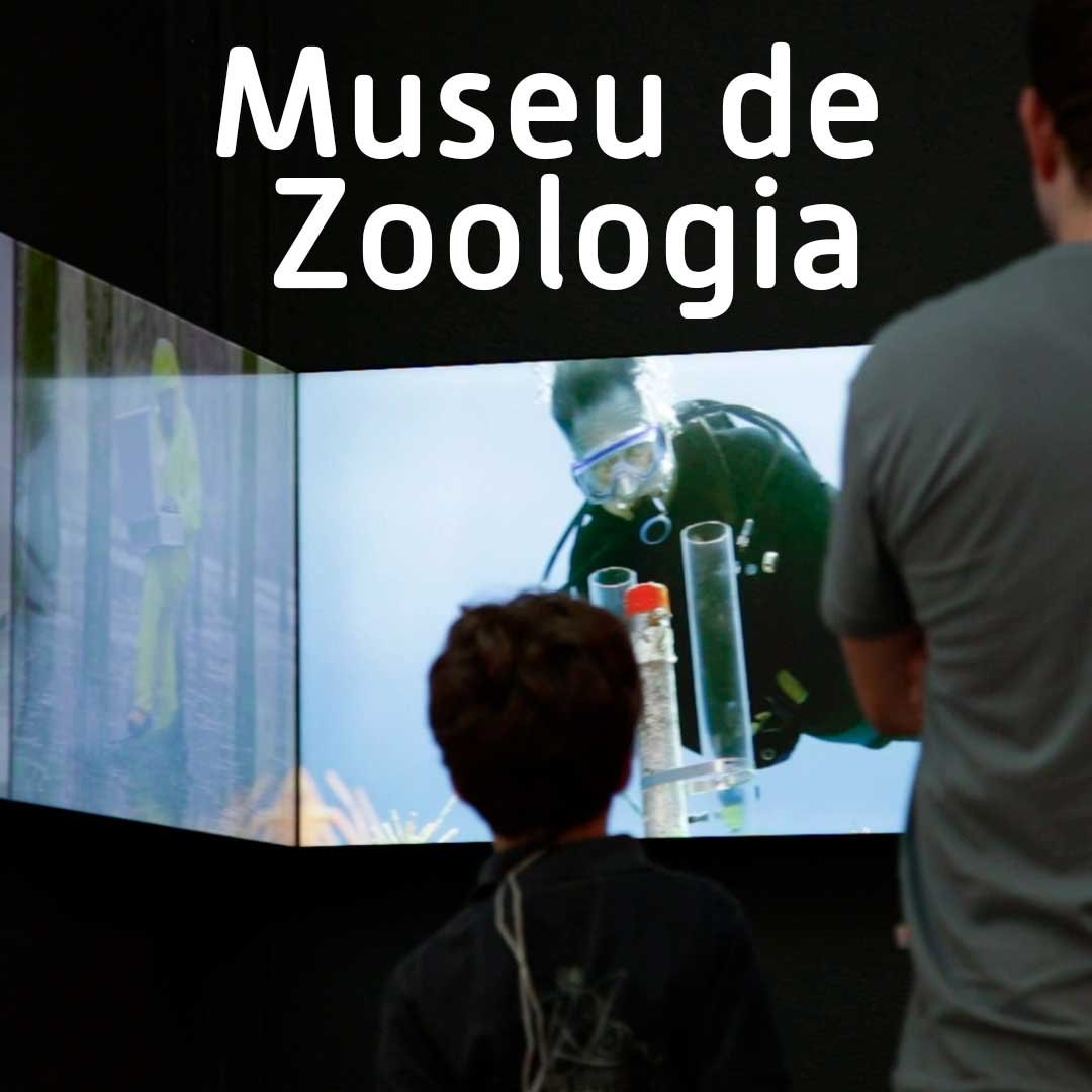 destaque_zoologia